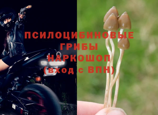ГАЛЛЮЦИНОГЕННЫЕ ГРИБЫ Ступино